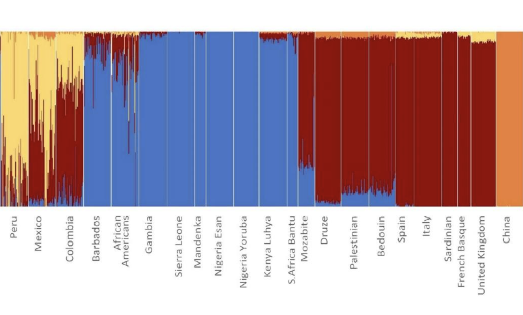 human-population-genetics-and-the-idea-of-ancestry-an-anthropological